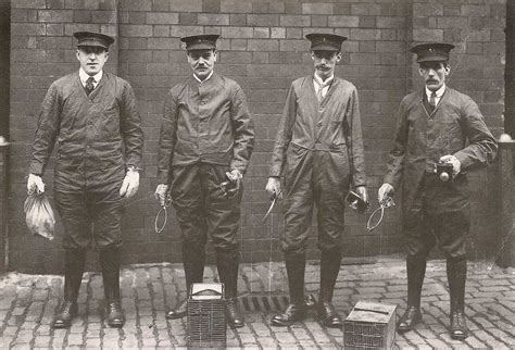 rat catchers blandford